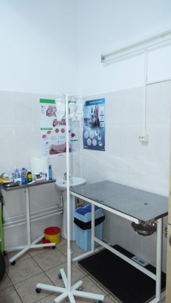 Hani Vet - Cabinet Veterinar